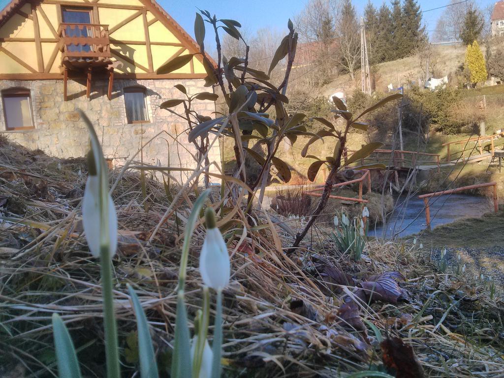 مبيت وإفطار Golejów Zbojna Debra الغرفة الصورة